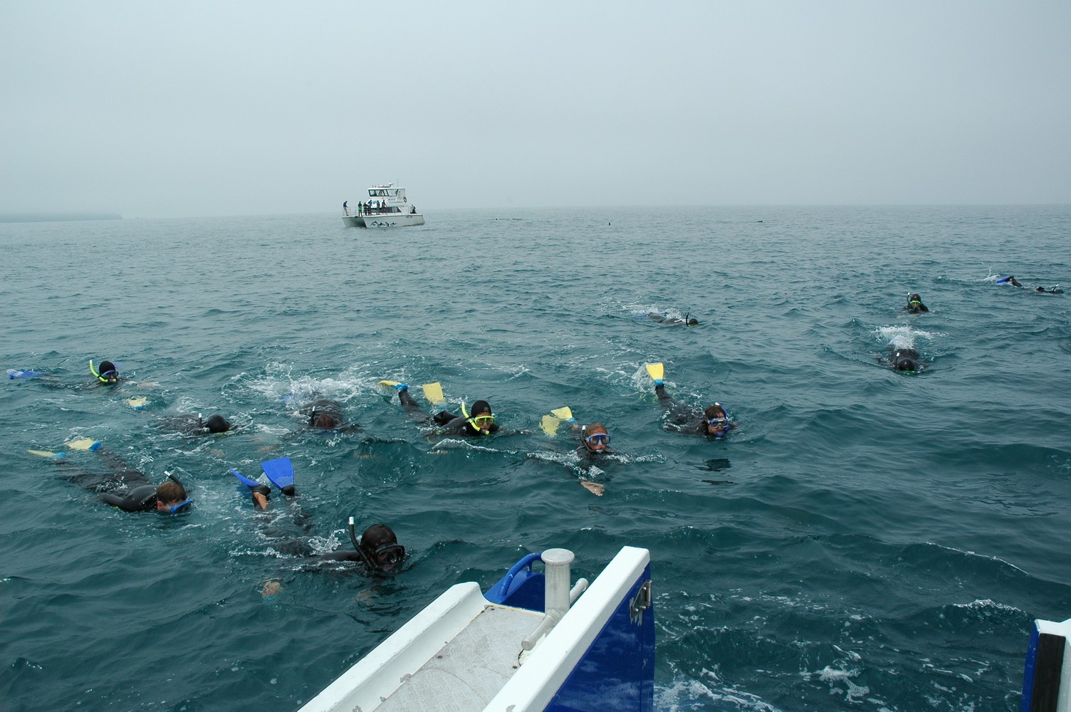 209   30 01   Kaikoura